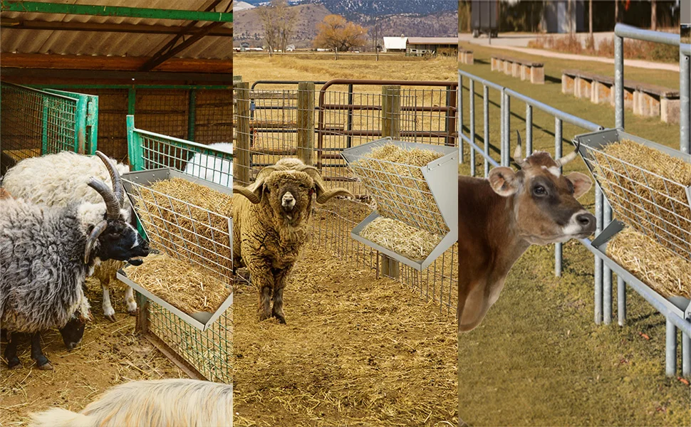 Jhmech Less Wasted Food Dispenser Strong Capacity Wall Hay Rack Buy