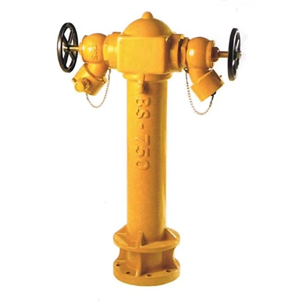 BS750 Pillar Fire Hydrant Two Way Pillar Fire Hydrant Type Fire Hydrant