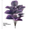 Viola-18*75