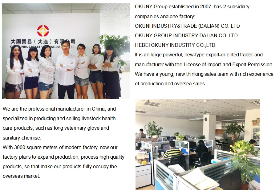 company information