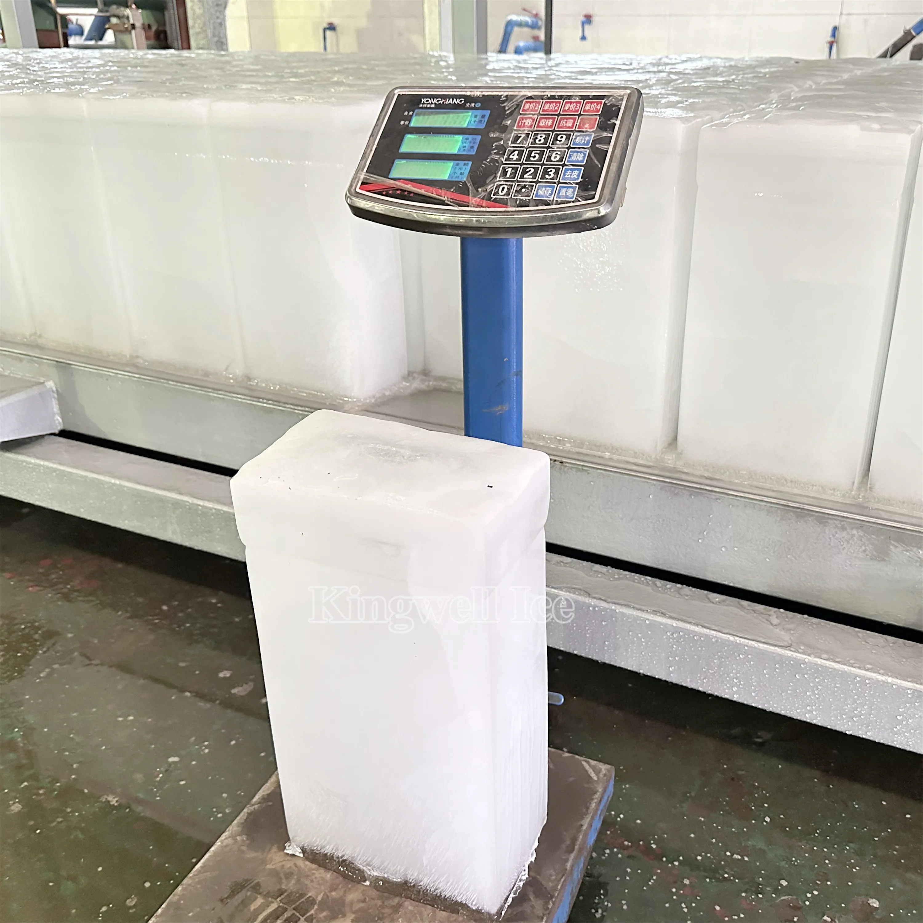 Ice Machines, KINGWELL, 1ton, 2ton, 3ton - detail 10