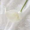 Pure white