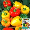 1# Pimientos de colores