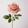 Sakura pink