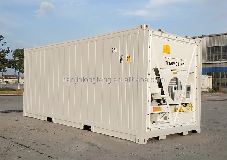 20ft Cold Storage Room Reefer Container From Stock Thermo King Cooler