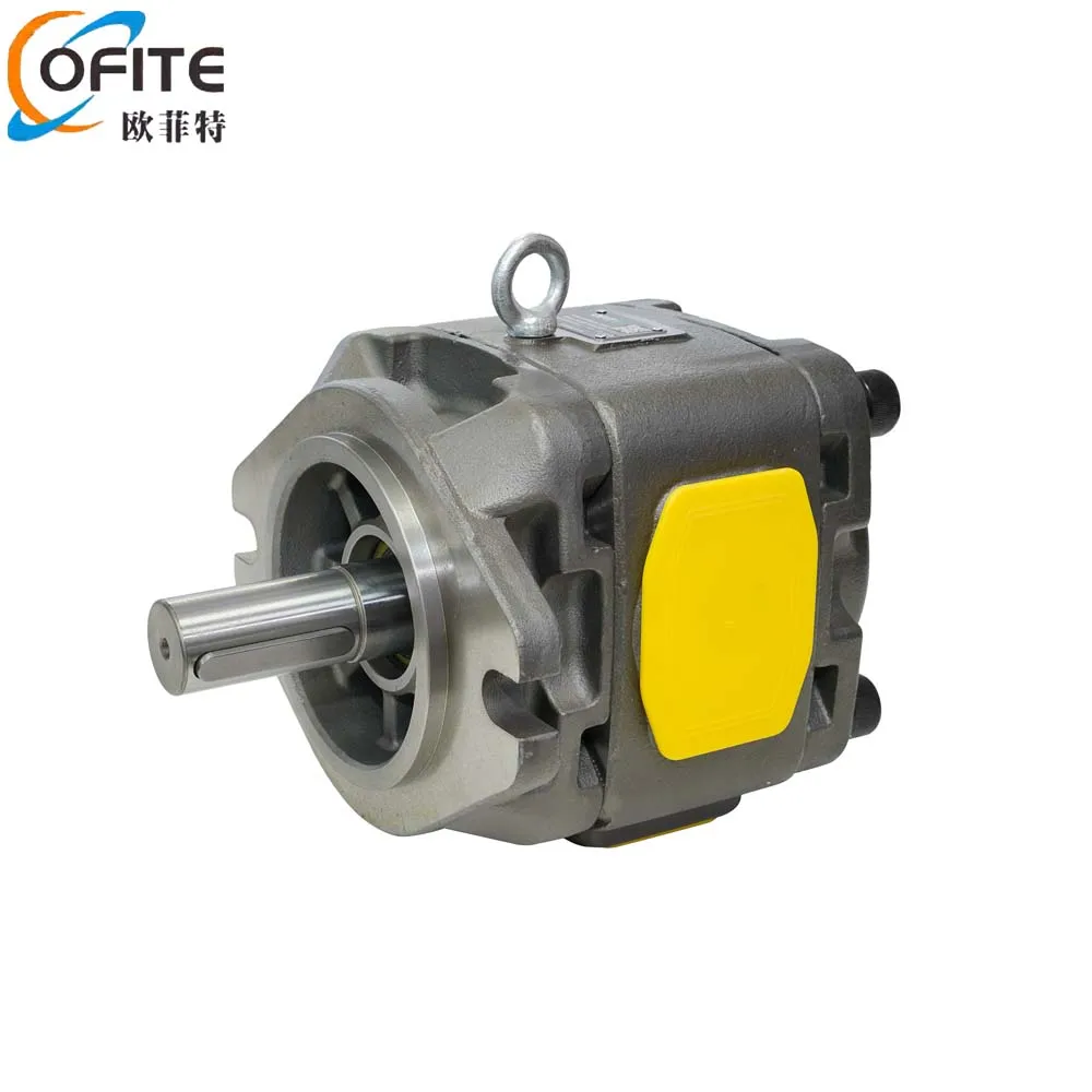 Factory Direct Sales HG1 Series Hydraulic Gear Pump Hydraulic Pump Oil Pump for Injection Molding Machines Bending Machines