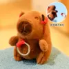 วงกลม capybara-gankun สามารถดึง-12ซม