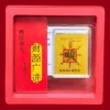 Xiao Shun + Caja Roja + Mensaje de Bendición (Aleatorio)