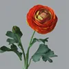 #4 Naranja