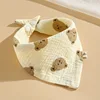 Testa d'orso