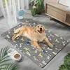 Ice Silk Pet Mat - Dog Park Gray