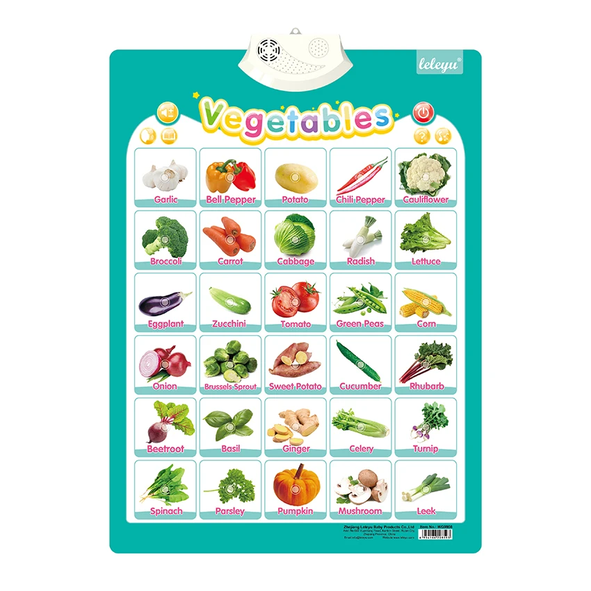 LELEYU OEM style feature talking poster music toys other educational toys to learn English