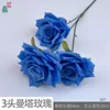3-headed Manta Rose WY Blue