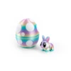 Candy Caryon