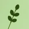 (5Leaves) Four Seasons flowers and branches-Dark green