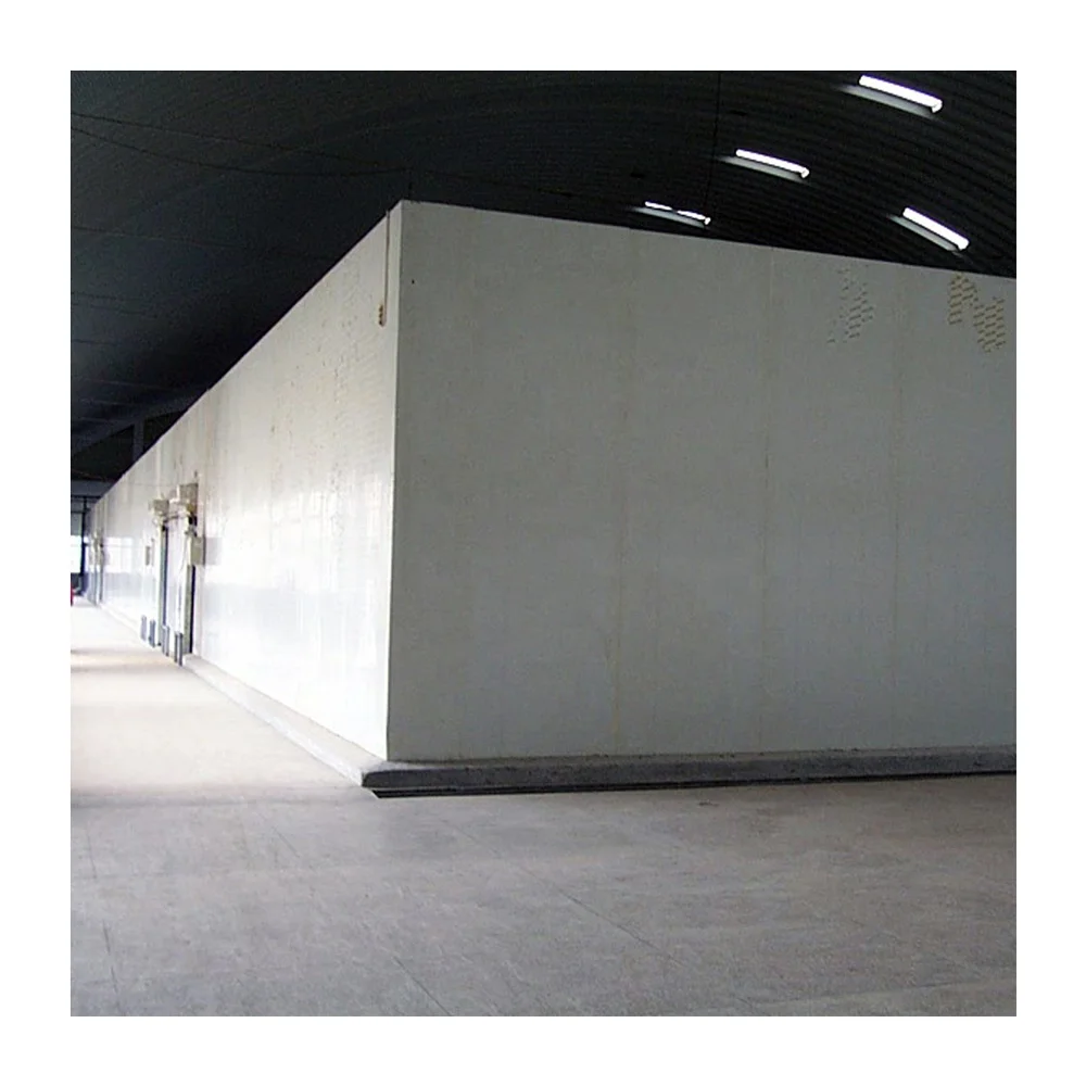 Walk in Cold Room With Low Noise Design Onion Storage Warehouse