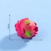 21 fruta del dragón