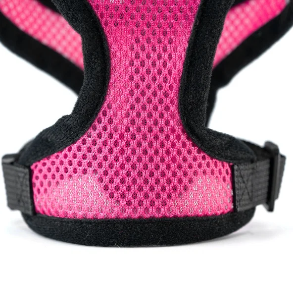 Pet Supplies Neoprene Dog Harness Leashes Polyester Dog Harness