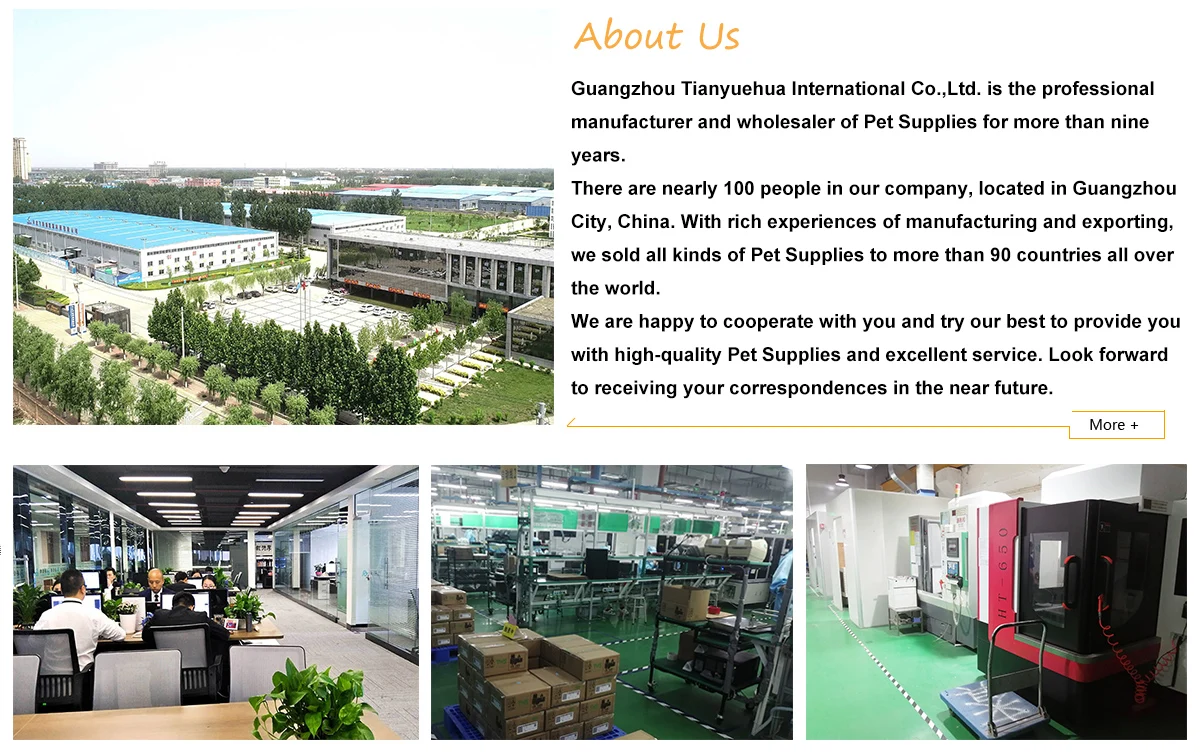 Guangzhou Tianyuehua International Trading Co., Ltd. 3
