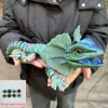 Grand coloré (37 cm)