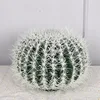 Le cactus mesure 35 cm de diamètre.