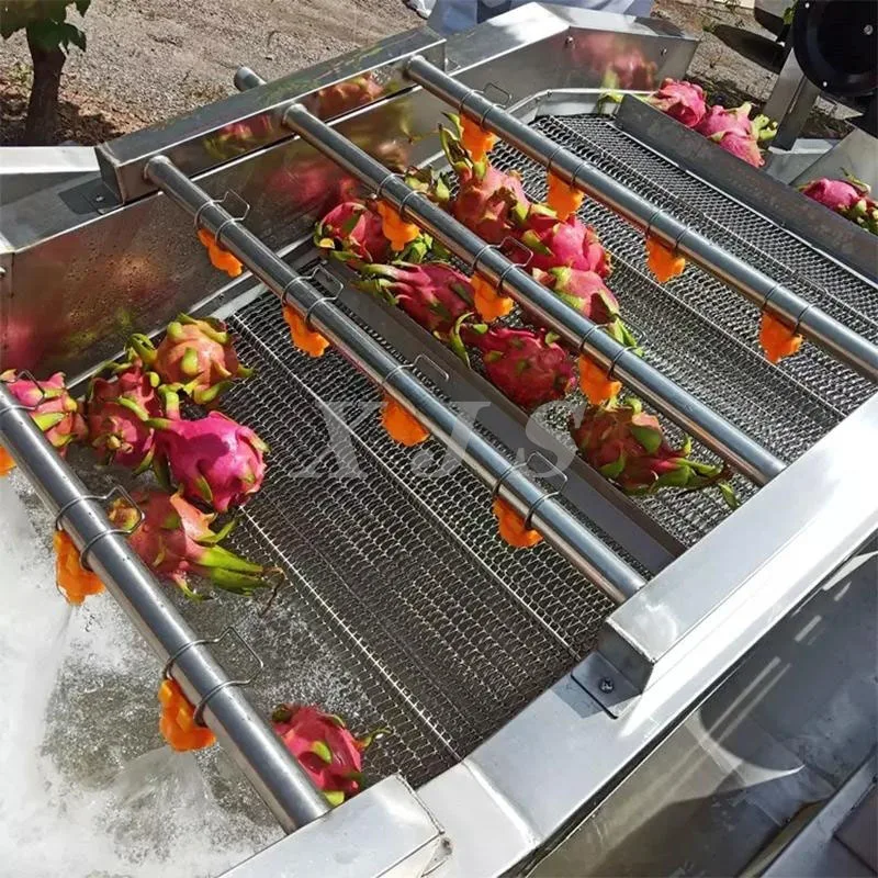 Fruit and Vegetable Washing Machine Drying Dates Pitting Production ...