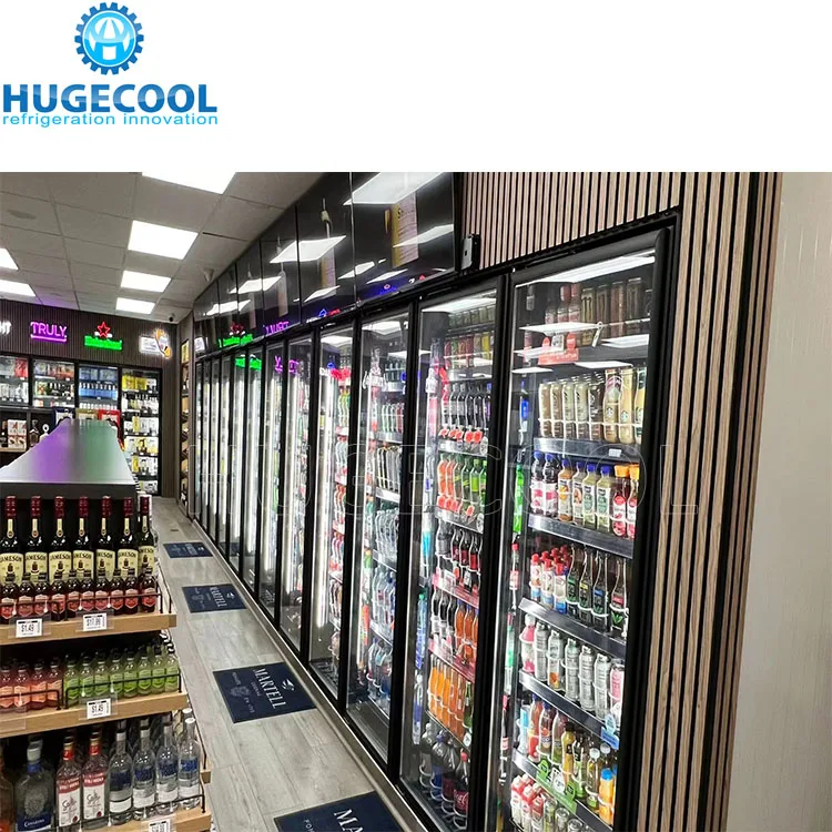 Display Walk in Cooler and Freezer with Glass Door and Shelf