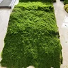 Green-017