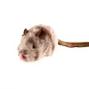 The proud prey of xuan law-mice