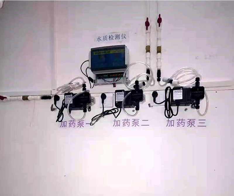 Automatic Swimming Pool Chemicals Dosing Pump Pool Disinfection