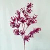 Meiyi mimosa rose red