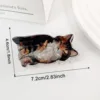 Brown tabby cat-d11-1-23