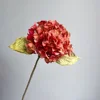 Rojo ladrillo