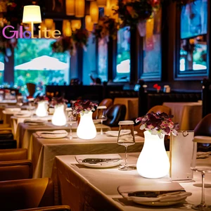 Glolite Rechargeable LED Table Lamp for Bedrooms and Hotels Factory Direct with Special Price Power Supply Battery