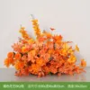 การจัดดอกไม้สีส้ม BK2