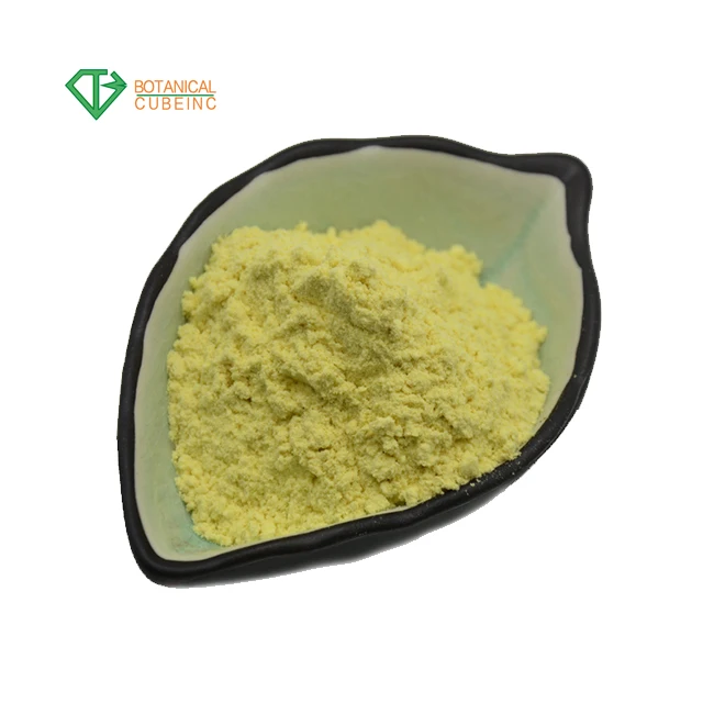 Supply Phellodendron Amurense Bark Extract Berberine Hcl Chloride Powder 97 Berberine Hcl Buy 97 Berberine Berberine Chloride Berberine Hcl Powder Product On Alibaba Com
