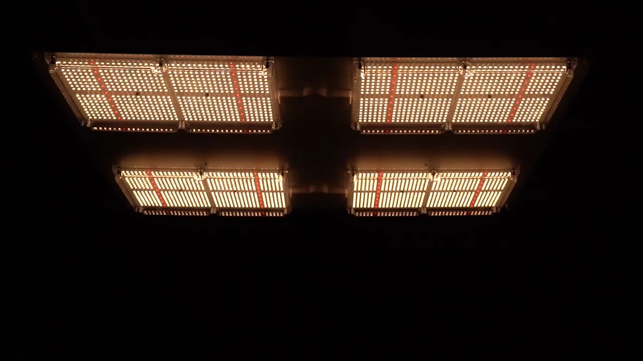 Meijiu Lighting Grow Kit, QB648 Samsung Lm301h Board Best Selling