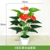 12 heads, 3 flowers, Anthurium (with pot)