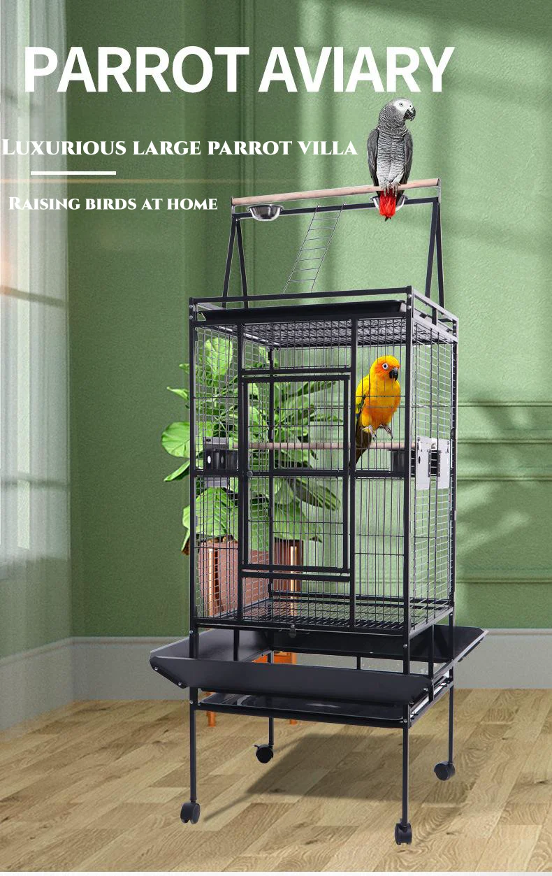 Picture Idea: Wholesale Cheap Prices Metal Wire Pet Sliver Black Bird Parrot