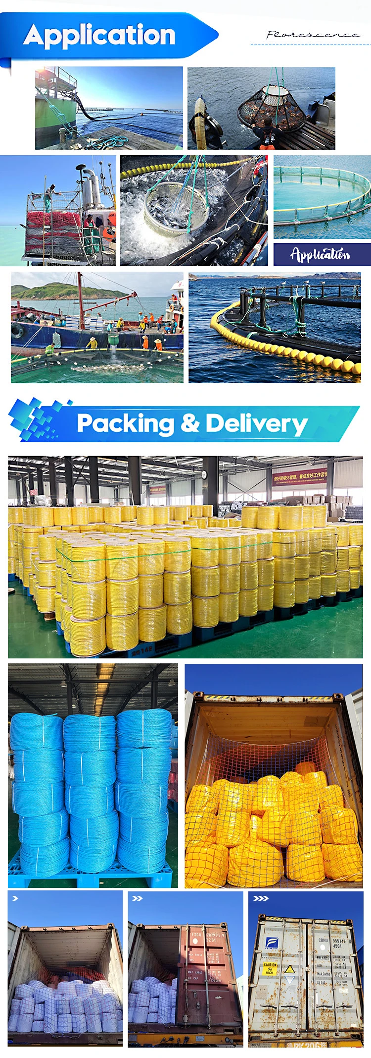 Twisted 3 Strands Polypropylene pp Danline Rope 10mm Packaging Rope for Fishing 5