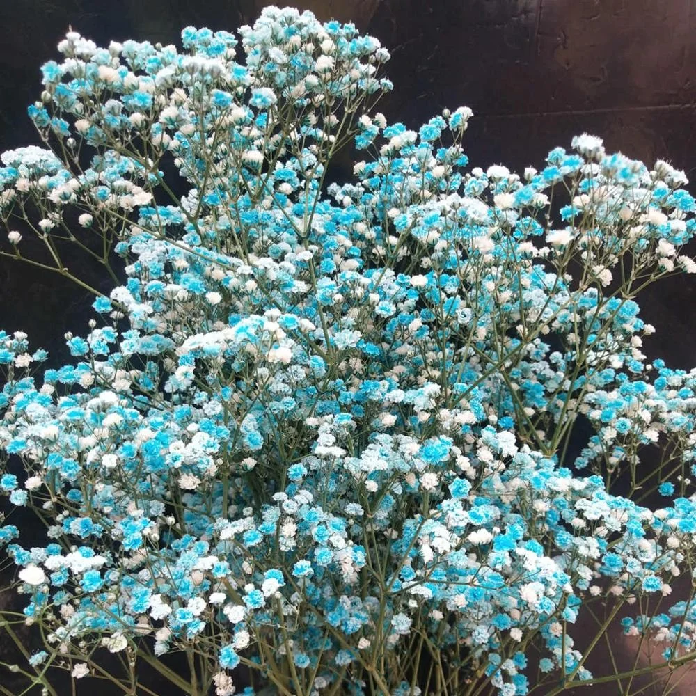 
Консервированный цветок babysbreath для домашней цветочной композиции, 1 комплект из 100-120 граммов для изготовления изделий ручной работы 