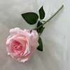 Rosa individual cepillada
