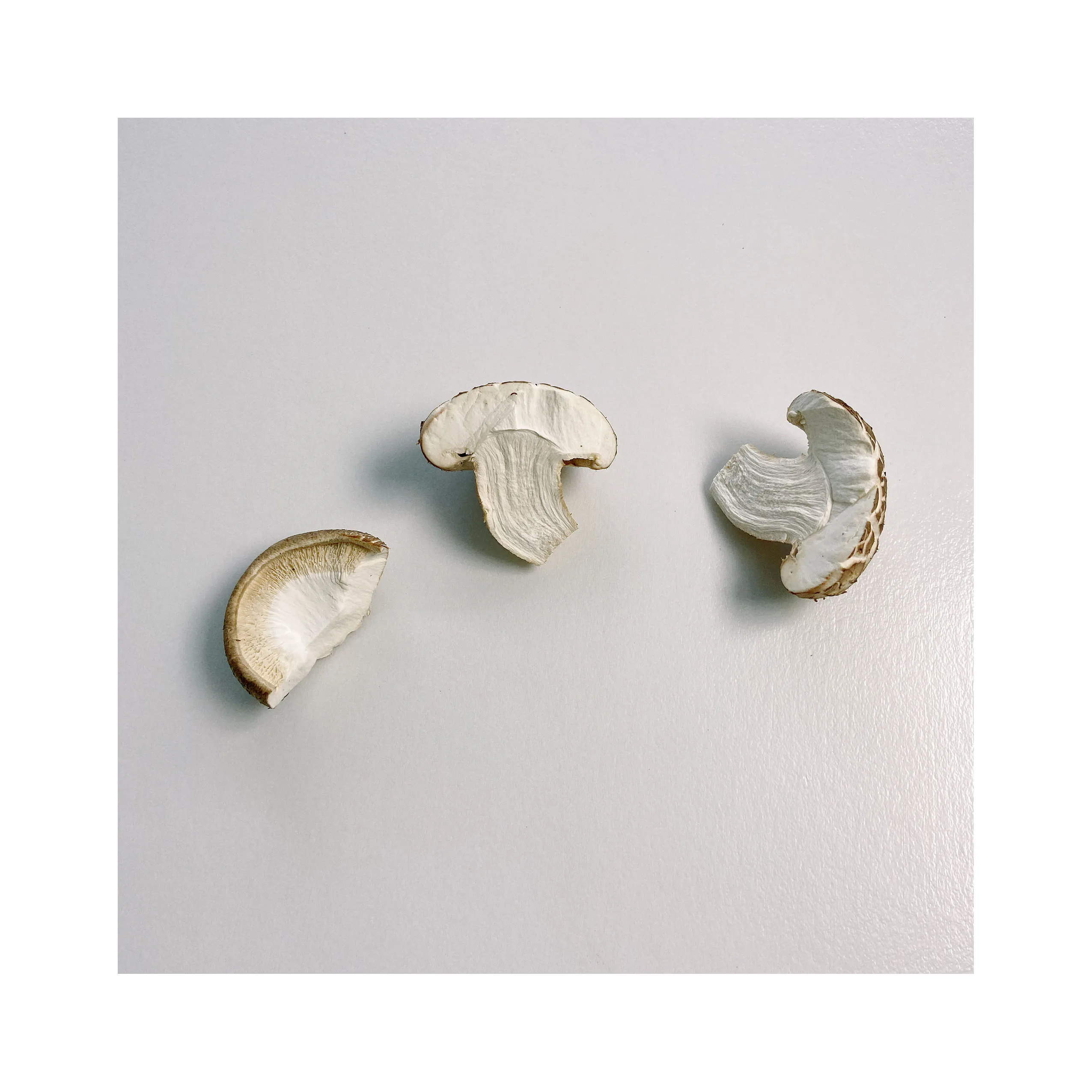 Изысканный вкусный гриб хорошего качества G r a d e A Fresh Hua Shitake