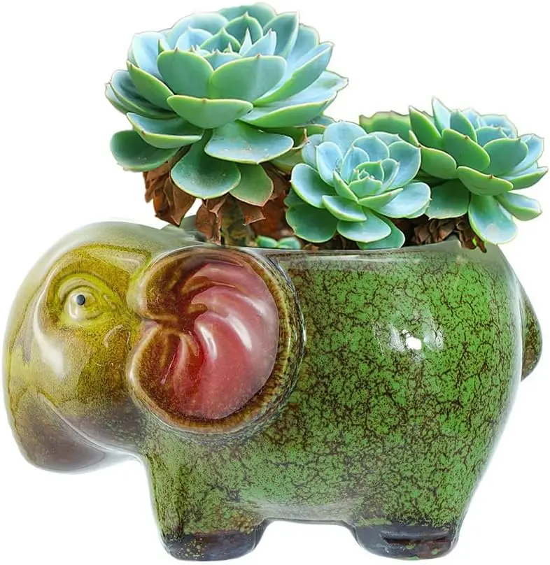 Indoor Plant Small Succulent Pots with Drainage Cute Animal Ceramic Flower Pot Succulent Planter for Home Office Desk Decoration
