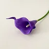 Núcleo Blanco Morado Oscuro