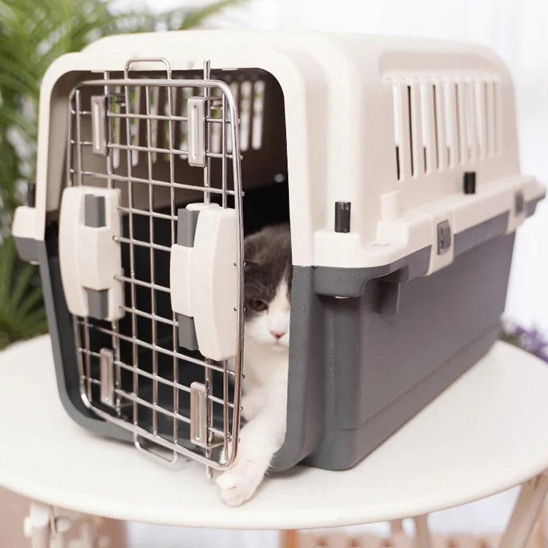 Custom Airline Shipping Transport Box Pet Cages and Crates Kennel Bike Travel Plastic Dog Pet Carrier