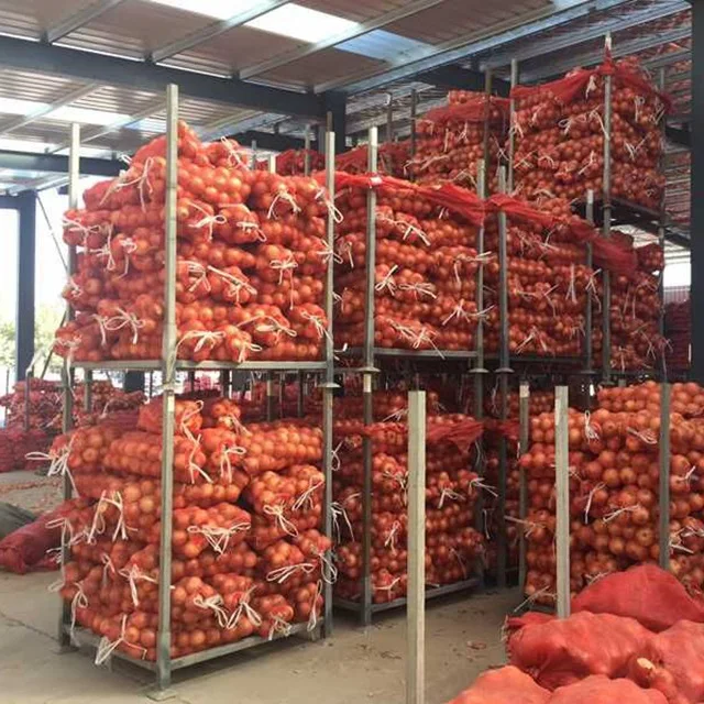 Best Quality Red Onion 50/70mm China Fresh Town Supply