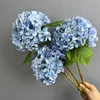 HH-blu