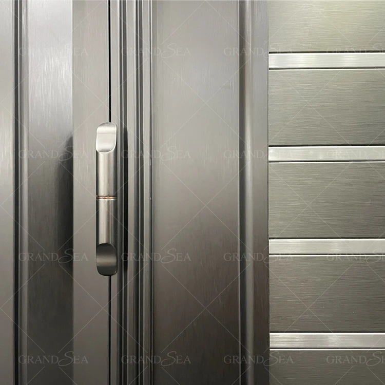 Made in China Factory Price of Stainless Steel Door Panel Malaysia Johor Bahru