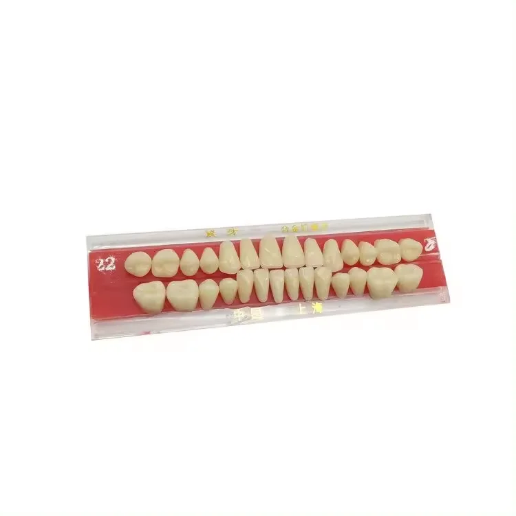 Dentures Veneer dental false tooth synthetic teeth Full Teeth Ceramic teeth supplier